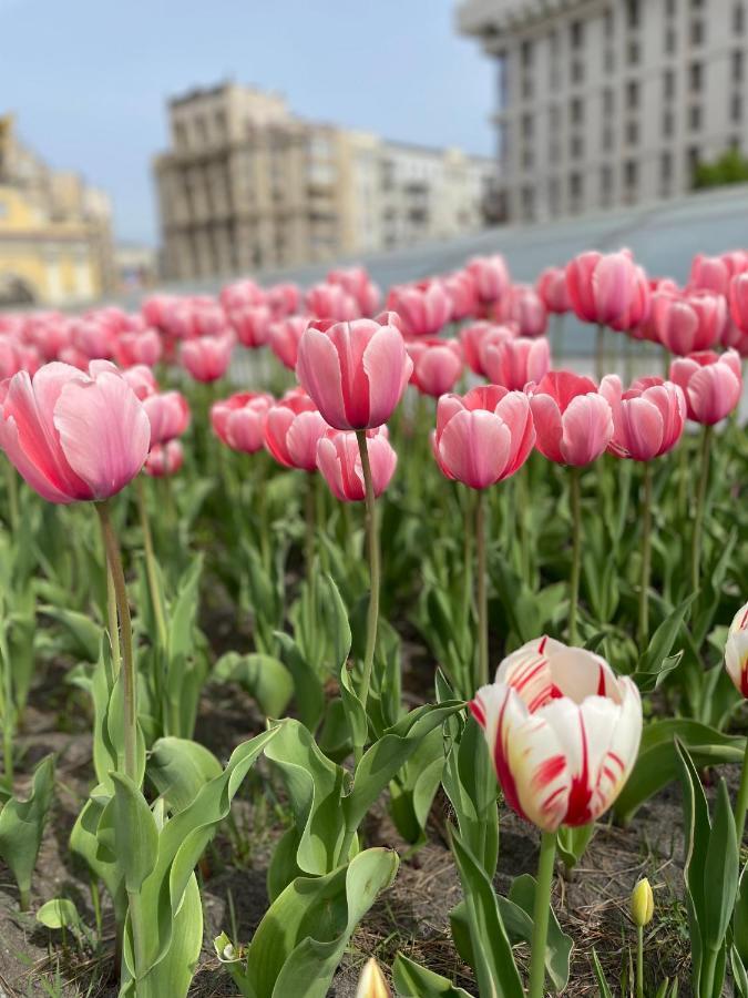 Однокімнатні Апартаменти На Майдані, Дистанційне Заселення 24Х7 Kiev Ngoại thất bức ảnh